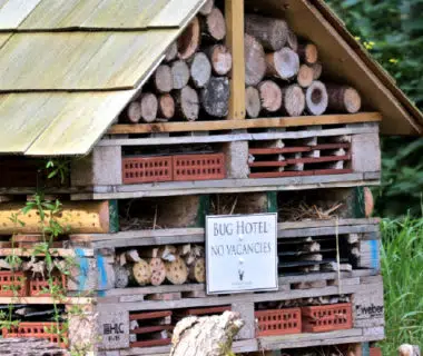 Schéma de découpe d'un hôtel à insectes