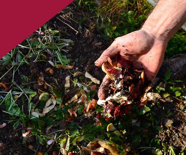 Brass Compost : L'outil indispensable pour votre composteur