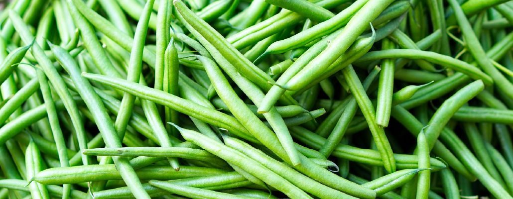 Recette Haricots verts blanchis