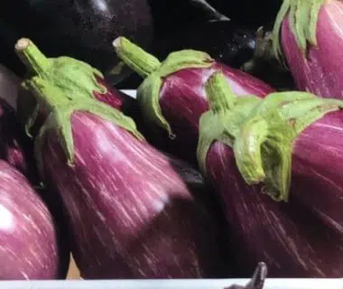 Un petit étalage d'aubergines