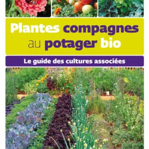 Plantes compagnes au potager bio