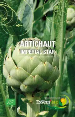 Graines Artichaut Imperial Star bio - Essembio