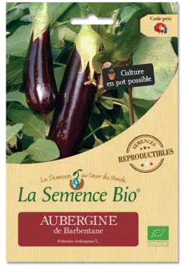 Graines Aubergine violette de Barbentane bio