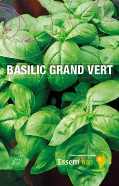 Graines Basilic grand vert bio - Essembio