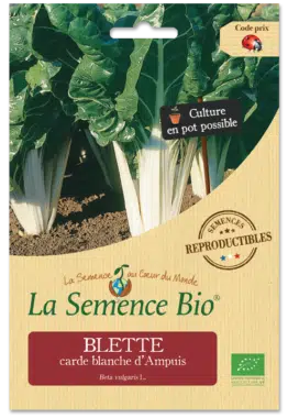 Graines Blette carde blanche d'Ampuis bio - La semence bio