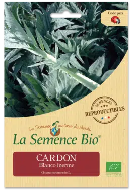 Graines Cardon blanco inerne bio - La semence bio