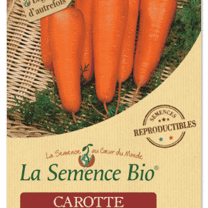 Graines Carotte De luc bio - La semence bio 1