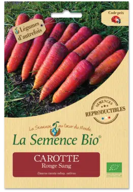 Graines Carotte rouge sang bio - La semence bio 1