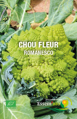 Culture du chou-fleur - Planète Agrobio