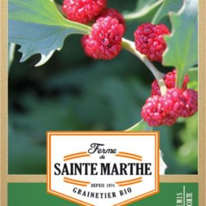 Graines Epinard fraise bio - Ferme de Sainte Marthe 2