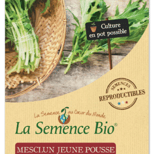 Graines Mesclun jeune pousse Mizuna Bio - La semence bio 1