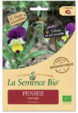 Graines Pensée sauvage bio - La semence bio