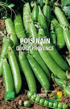 Graines Pois nain douce provence bio - Essembio