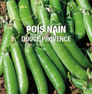 Graines Pois nain douce provence bio - Essembio