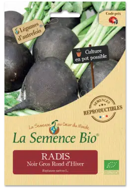 Graines Radis Noir Gros Rond d'Hiver Bio - La semence bio