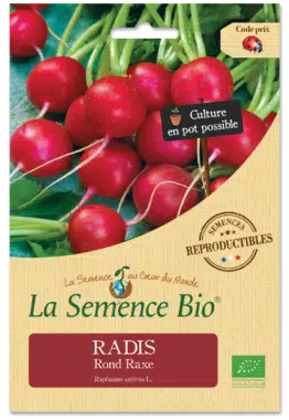 Graines Radis Rond Raxe Bio - La semence bio