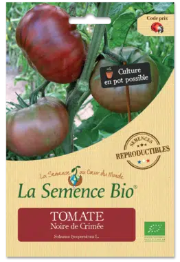 Graines Tomate Noire de Crimée Bio - La semence bio 1