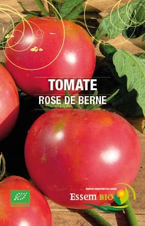 Tomate - Rosée des Champs