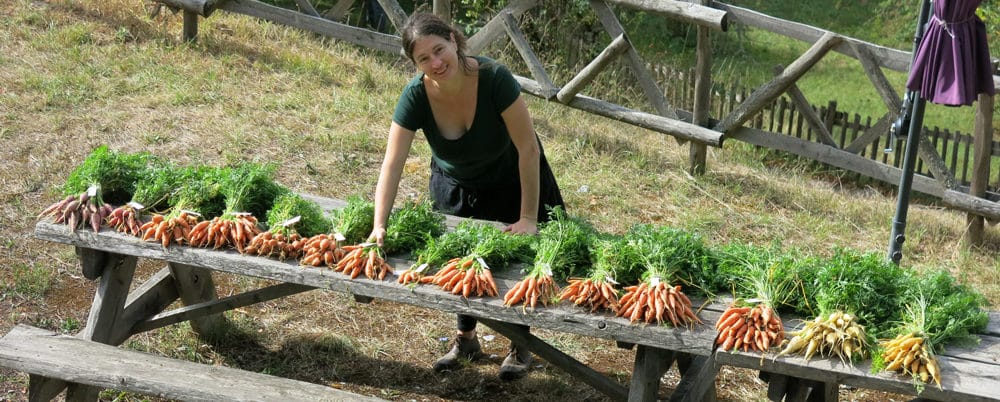 Banc d'essai : la cuisson du maïs