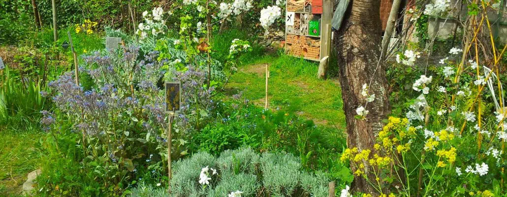 Bienvenue dans mon jardin au naturel, les 12 et 13 juin partout en France 1