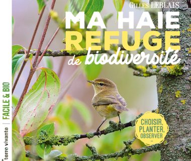 Ma haie  refuge de biodiversité