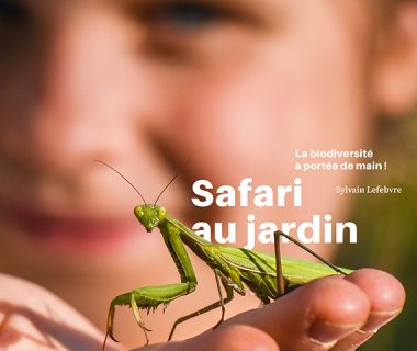 Safari au jardin