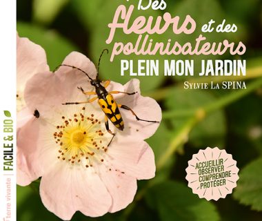 Des fleurs et des pollinisateurs plein mon jardin