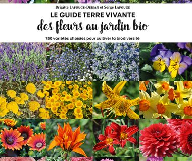 Le Guide Terre vivante des fleurs au jardin bio