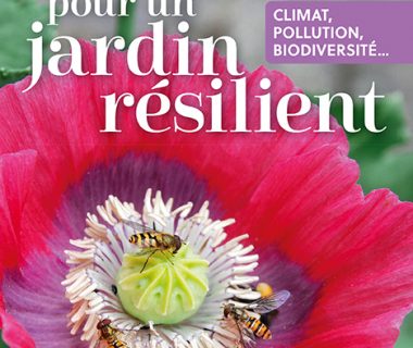 Solutions pour un jardin résilient