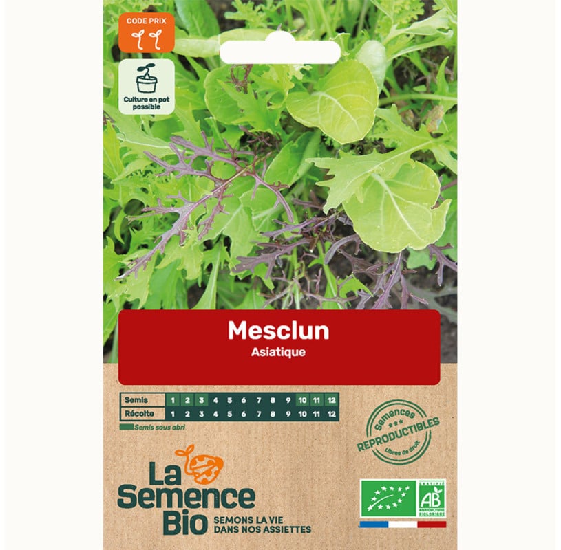 semences-bio-reproductibles-mesclun-jeune-pousse-asiatique-bio (1)